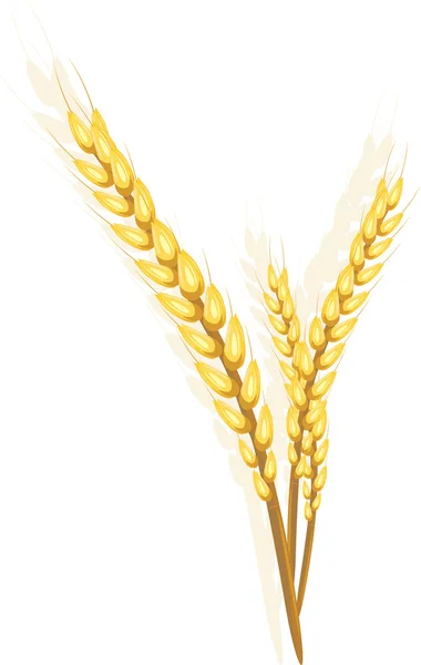 stock vector Three wheat ears