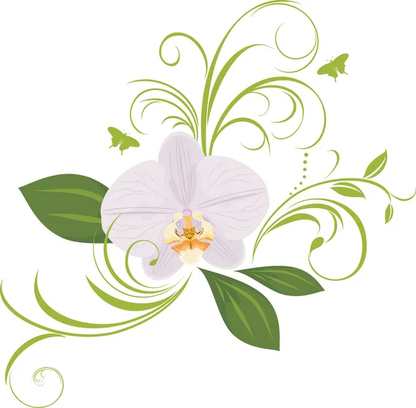 Orchidée avec branches décoratives — Image vectorielle