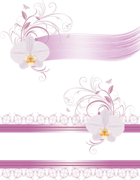 Elementos decorativos para design com orquídeas — Vetor de Stock
