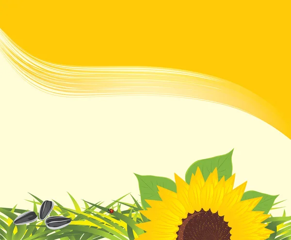 Sonnenblume mit Gras und Kernen auf gelbem Hintergrund — Stockvektor