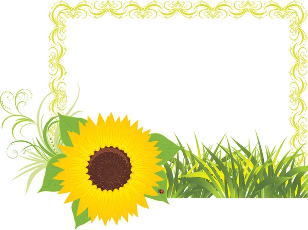 Sonnenblume mit Gras im dekorativen Rahmen — Stockvektor