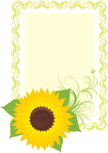 Slunečnice v dekorativní rám — Stockový vektor