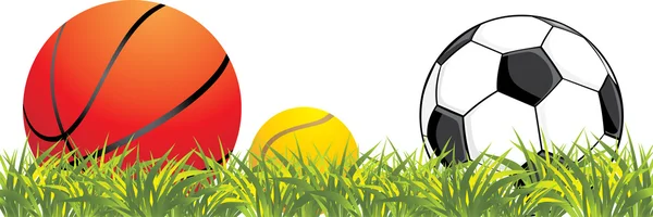 Sporting balls in grass — Stock Vector