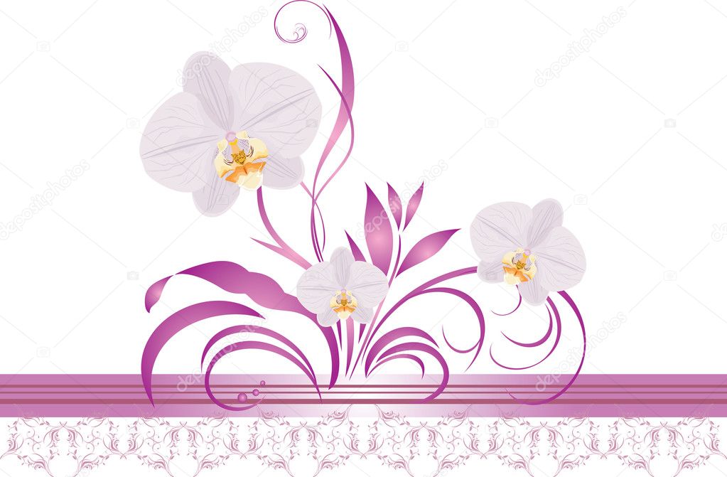 Orchids with floral ornament. Decorative border