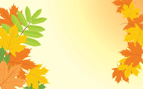 Fundo de outono com folhas de bordo e cinza — Vetor de Stock