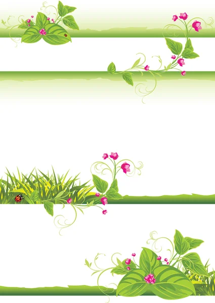 Frontières avec des branches et des fleurs roses — Image vectorielle