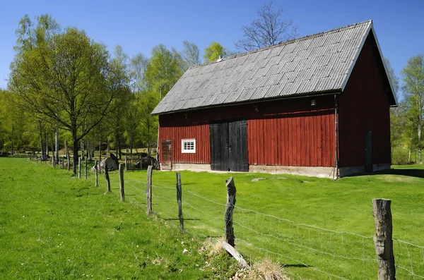瑞典谷仓为牛的 — 图库照片