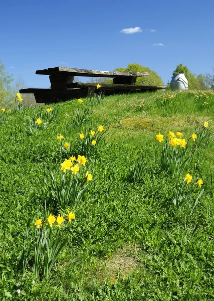 Spring hill with milk farm symbol — Stock Photo, Image