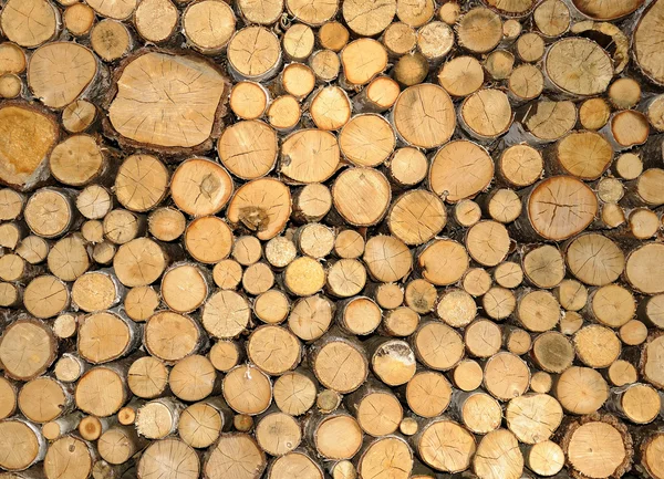 Fundo das existências de madeira — Fotografia de Stock