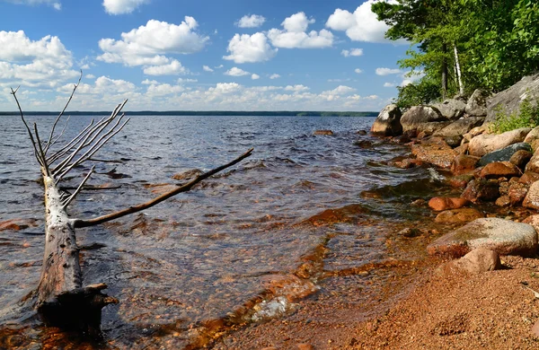 Svenska sommaren sjön — Stockfoto