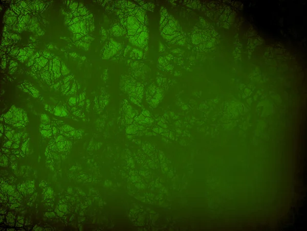 Kirli yeşil — Stok fotoğraf