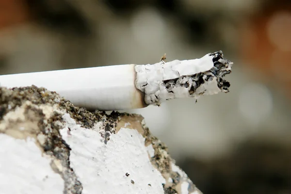 Tabaco de humo — Foto de Stock