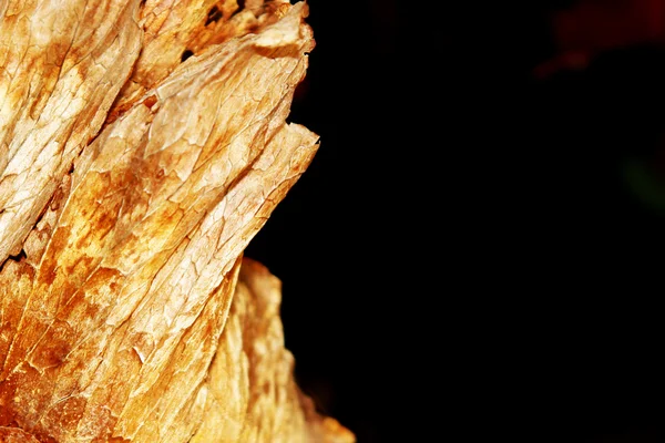 Wood on dark — Stock Photo, Image