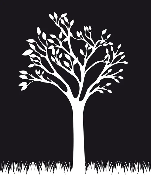 Fekete-fehér fa — Stock Vector