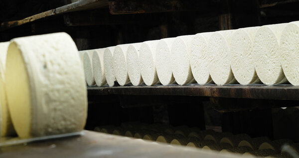 Французский Рокфор
