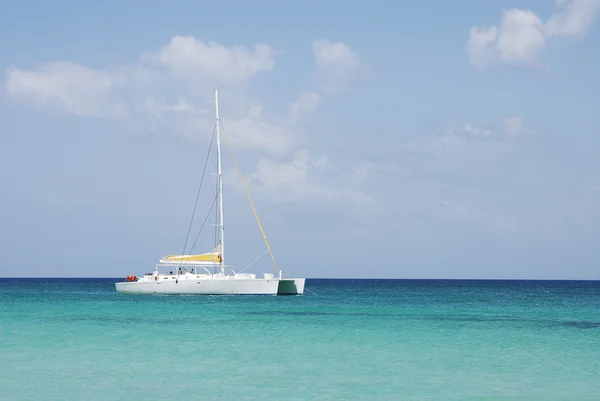 Barco catamarã — Fotografia de Stock