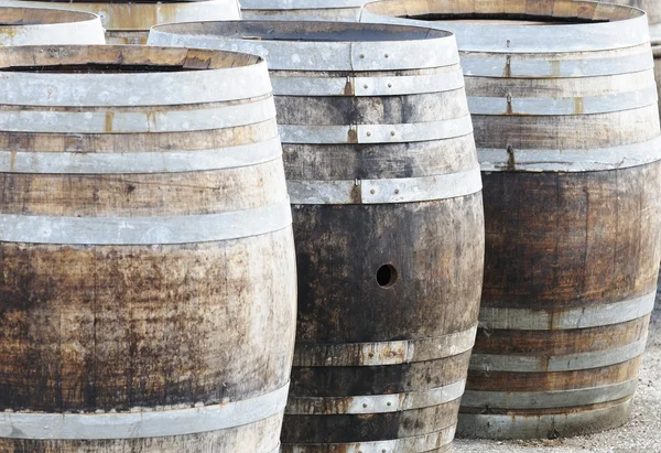 stock image Barrels of wine