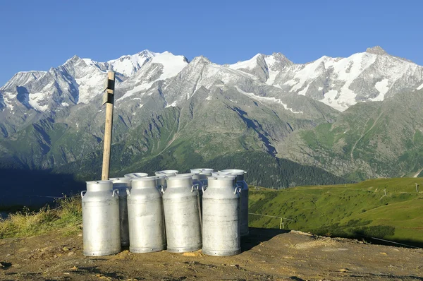 Mountain milk — Stock Photo, Image
