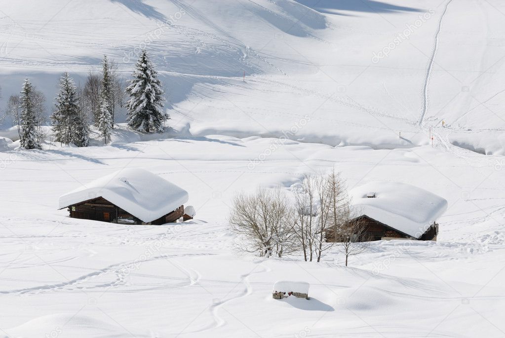 Alps winter