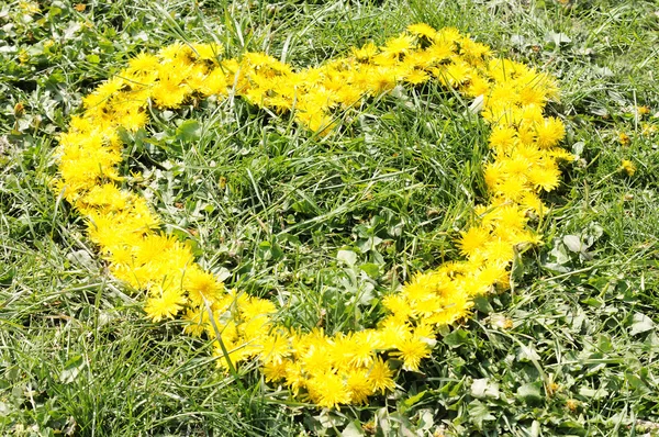 Naturalne serce żółty — Zdjęcie stockowe