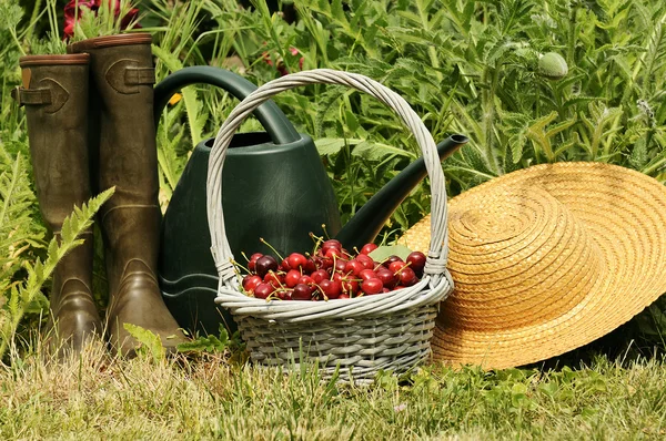 Giardino Cherrys — Foto Stock