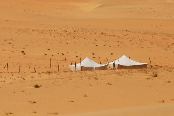 Бедуинский лагерь — стоковое фото