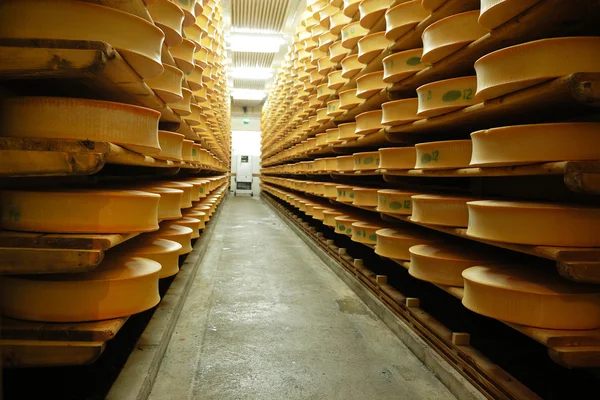 Cheeses — Stock Photo, Image