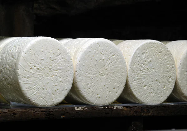 Französischer Roquefort-Käse — Stockfoto
