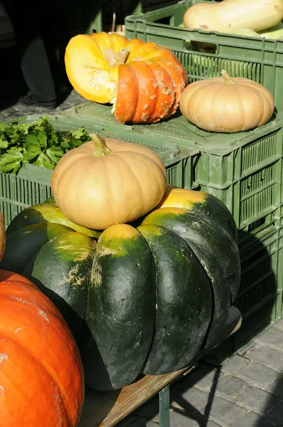 Gourds — Stock Photo, Image