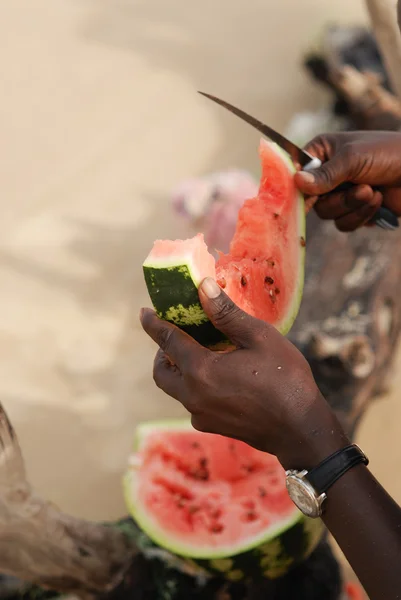 Afrikaanse watermeloen — Stockfoto