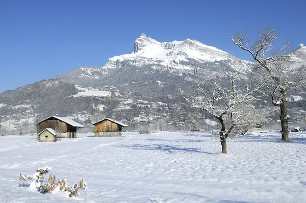 Земля Mont-Blanc — стокове фото