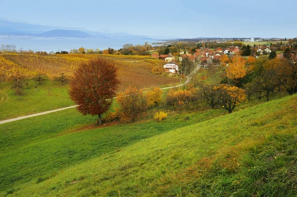 Neuchâteli-tó és a vidék — Stock Fotó
