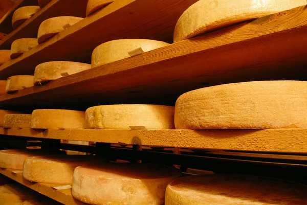 Vacherin Fribourgeois cheese — Stock Photo, Image
