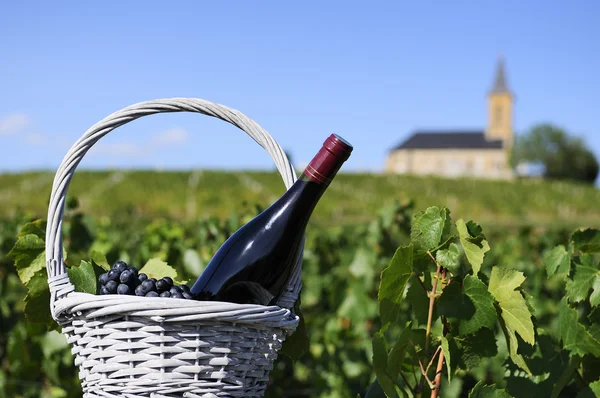 Пляшка червоного вина в сільській місцевості — стокове фото