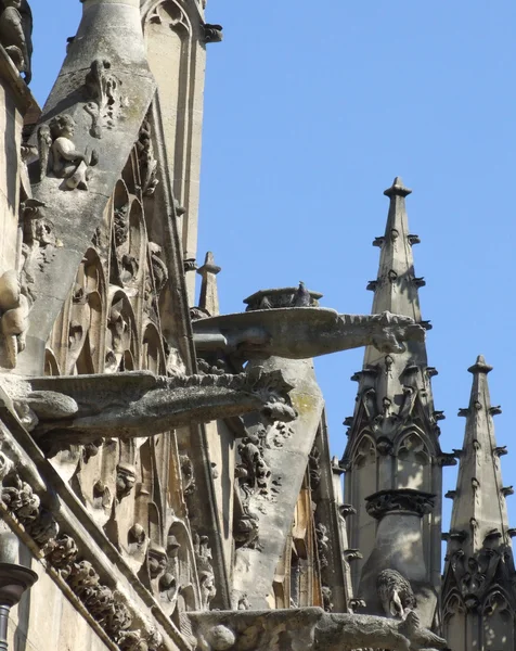 stock image Gargoyles