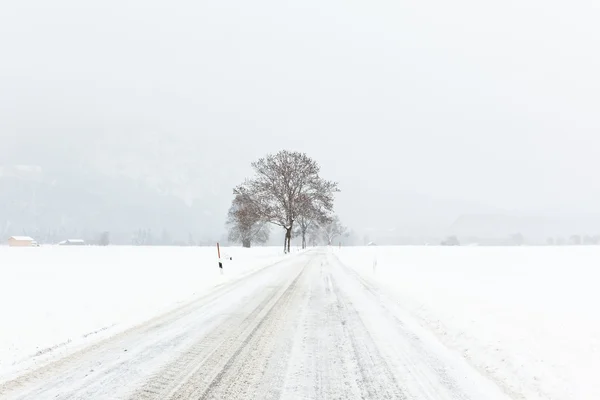 在阿尔卑斯山冬季现场 — 图库照片