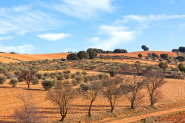 Castilla-La Mancha, Spain at winter clipart