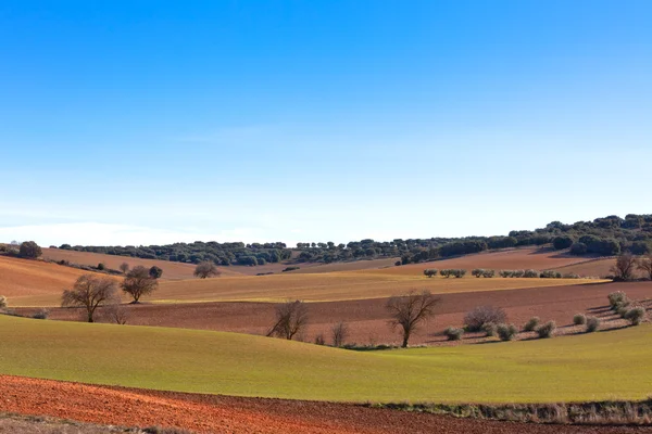 Castilla-La Mancha, Spain at winter — Stock Photo, Image