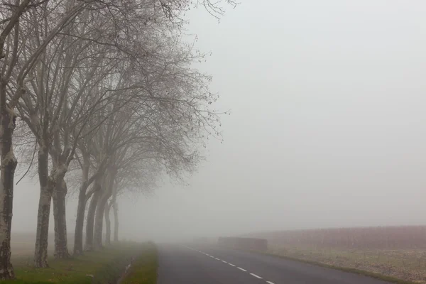 Misty Landscape — Stock Photo, Image