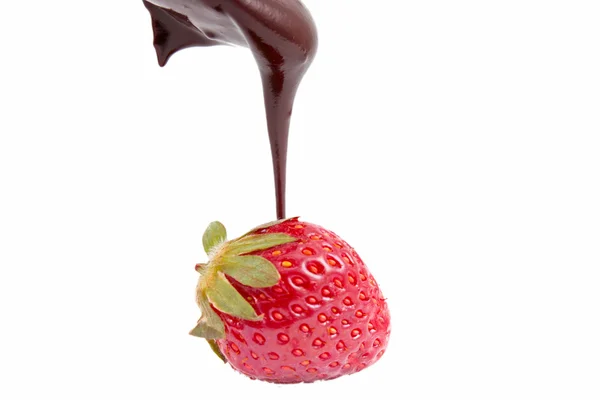 Căpșuni în ciocolată — Fotografie, imagine de stoc