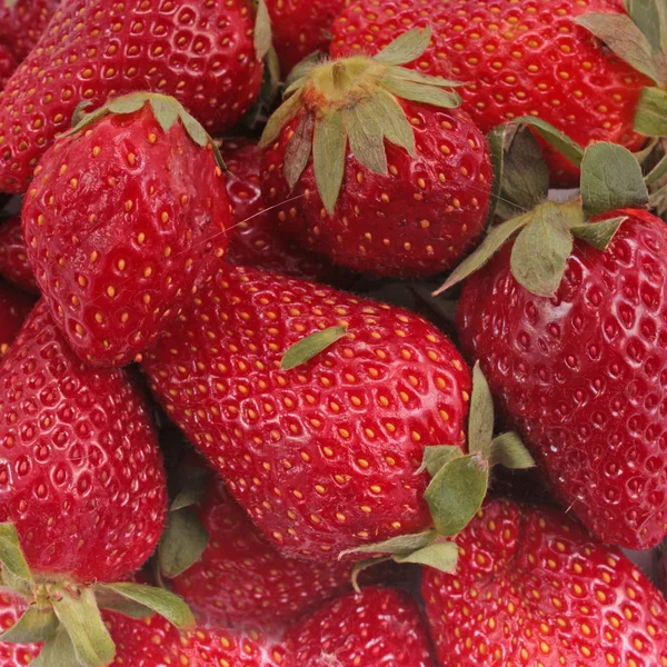 stock image Strawberries isolated