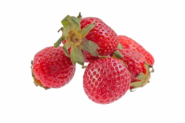 고립 된 딸기 — 스톡 사진