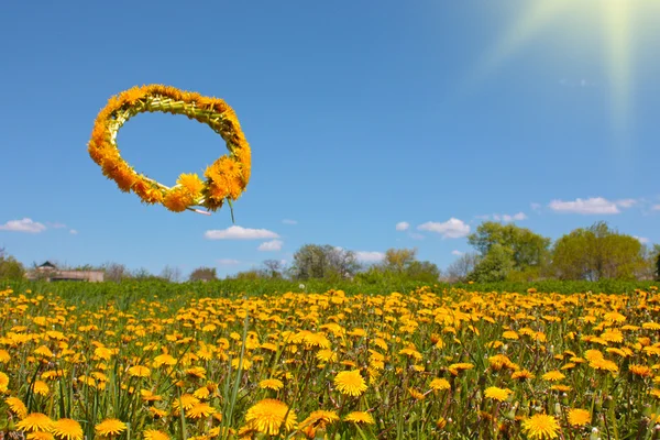 Yellow dandelions under sky — Stock Photo, Image