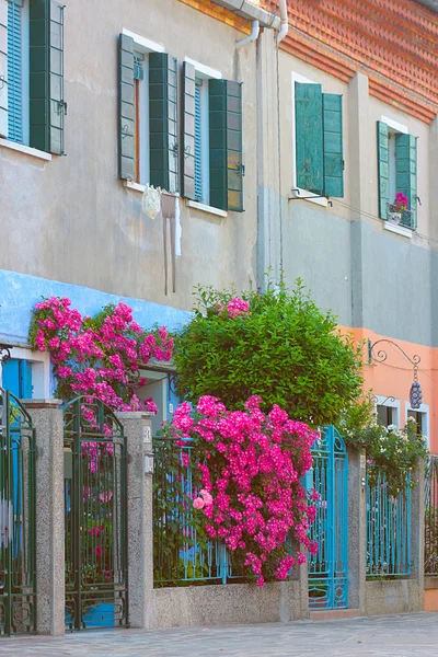 Бурано красочный город в Италии — стоковое фото