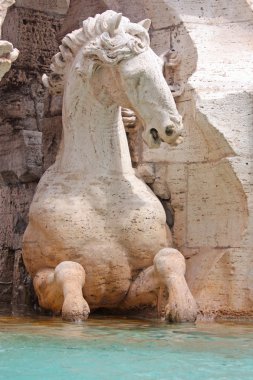 Piazza Navona 'daki çeşme