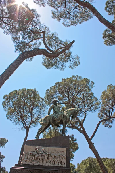 Denkmäler Ameisenbäume im Park — Stockfoto