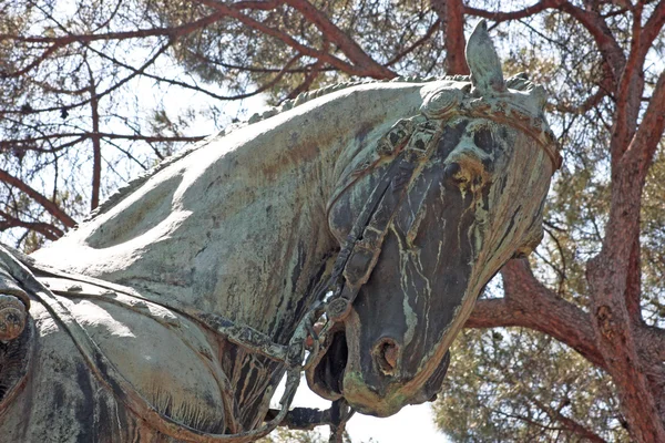 Anıtlar karınca çam ağaçlarının Park — Stok fotoğraf