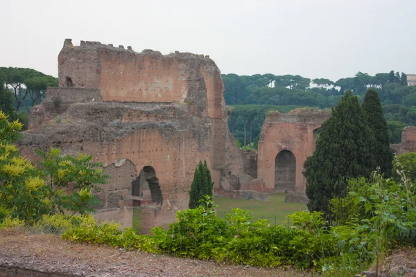 Caracalla thermae — Stok fotoğraf