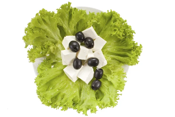 Salat und Salat — Stockfoto