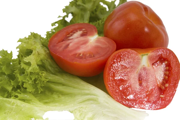 Tomates y lechuga — Foto de Stock